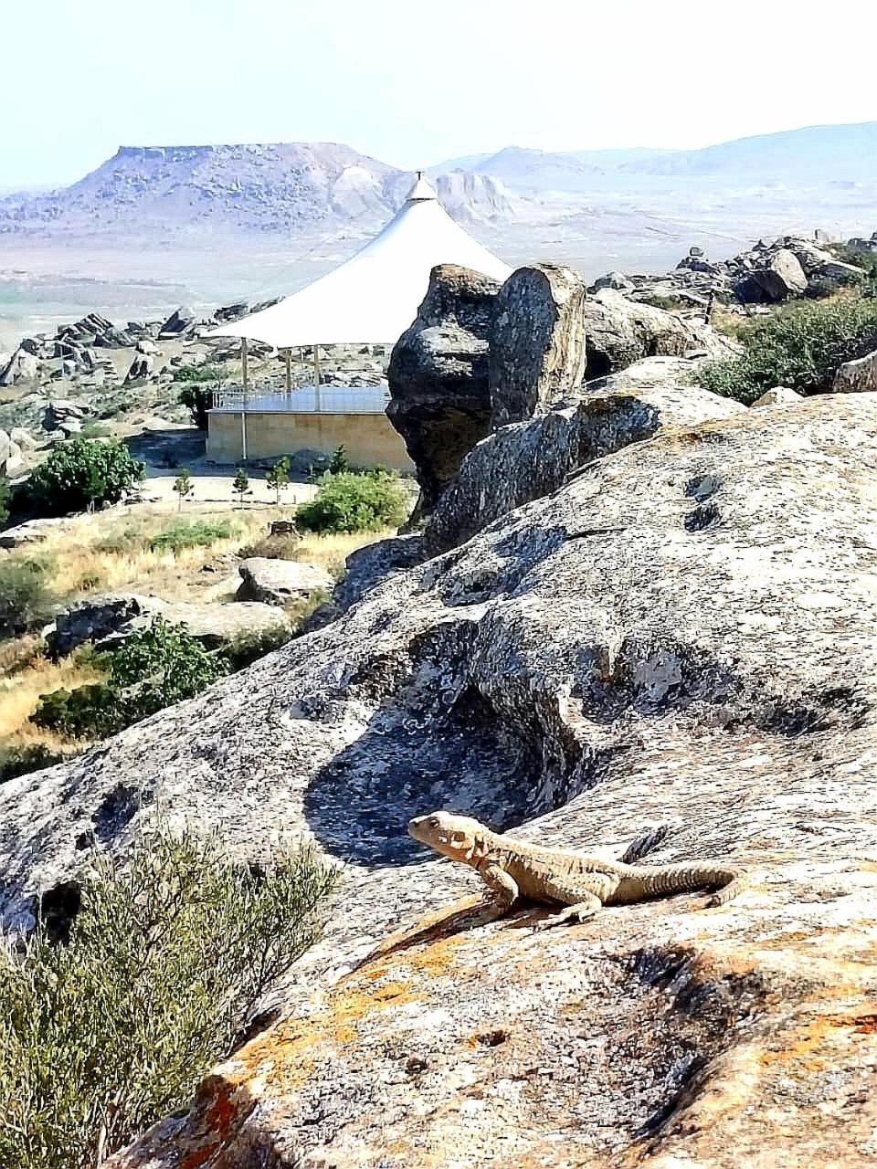Baku "Black Mountain" Guest House Sangachal Zewnętrze zdjęcie